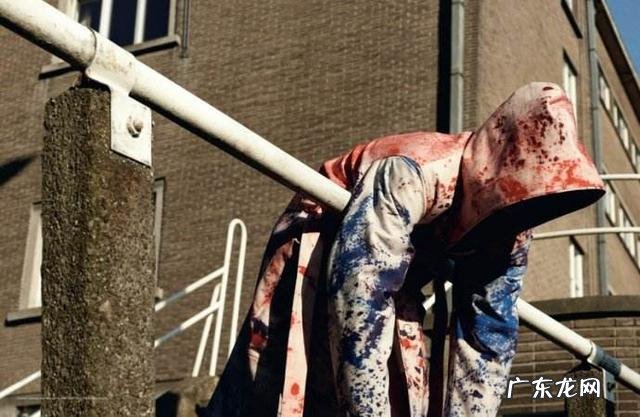 北方人来到南方都是什么样的体验?