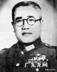 国民x国军五大主力是哪五大主力,军事主官是谁,最终结果如何?