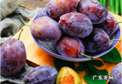 西梅和李子有啥区别 如何区分西梅和李子