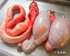 牛蛋的功效与作用 牛蛋的好处