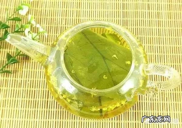 健脾养胃祛湿茶的配方是怎样的？