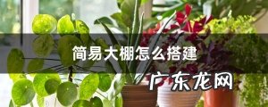 简易大棚怎么搭建