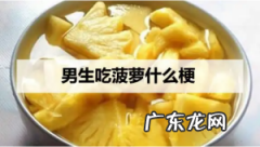 菠萝是什么意思很污