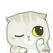 有没有这样的男人，明明有老婆有对象却过着一个人的生活