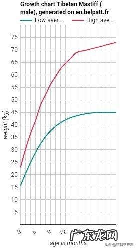 如果藏獒和猞猁狭路相逢，谁能赢