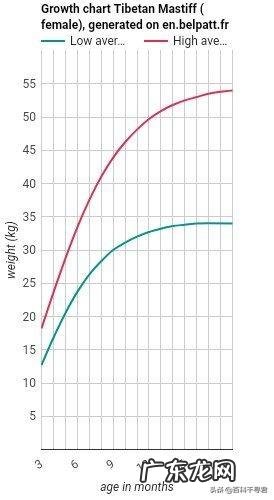 如果藏獒和猞猁狭路相逢，谁能赢