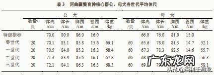如果藏獒和猞猁狭路相逢，谁能赢
