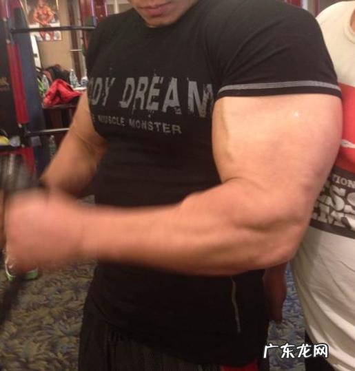 提高肌肉维度是大重量少次数好,还是小重量多次数好