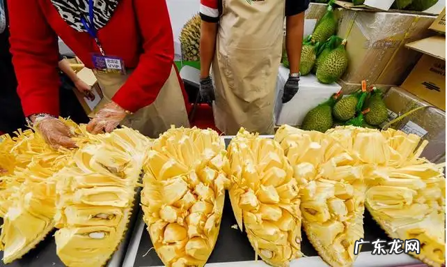 吃菠萝蜜的7大禁忌 吃菠萝蜜有哪些事项需要注意