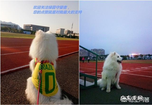 如果马拉多纳的巅峰期放到现在,能排到世界前三的球星吗?