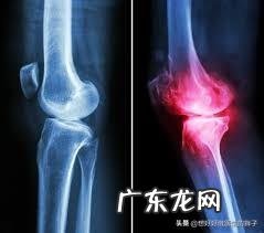 老年人如何才能避免肌肉过快流失?如何才能健康的老去呢?