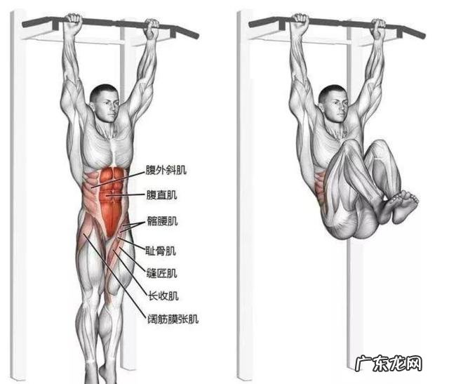 下腹肌怎么锻炼效果最明显?