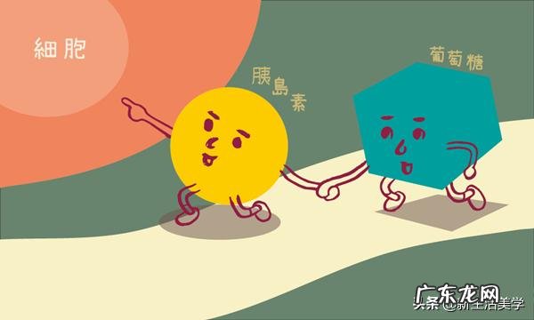 减脂到底怎么吃,到底应不应该吃到基础代谢?