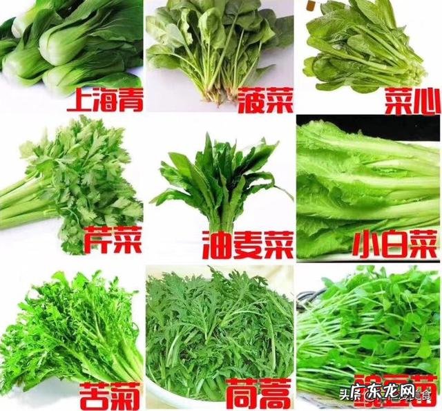 薄荷茶的功效与作用是什么? 薄荷的美容功效与作用
