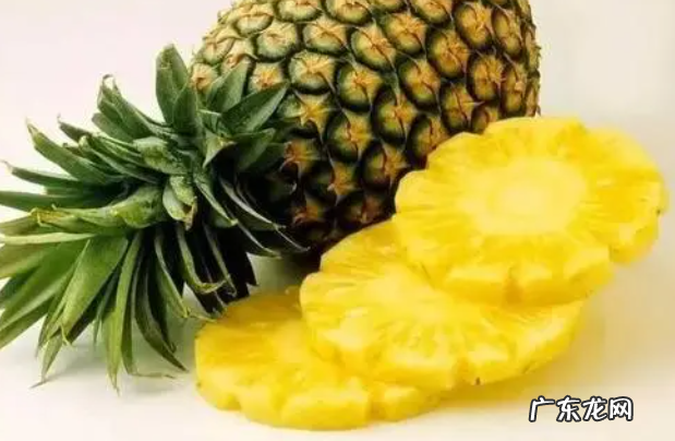 菠萝不能和什么一起吃