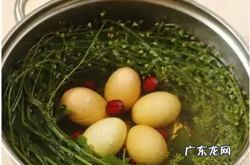 三月三地菜煮鸡蛋的功效-地菜的功效