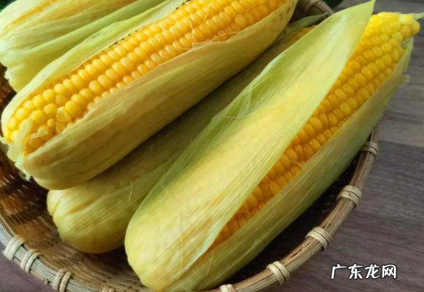 鲜玉米中含有大量的哪种天然维生素 鲜玉米怎么保存