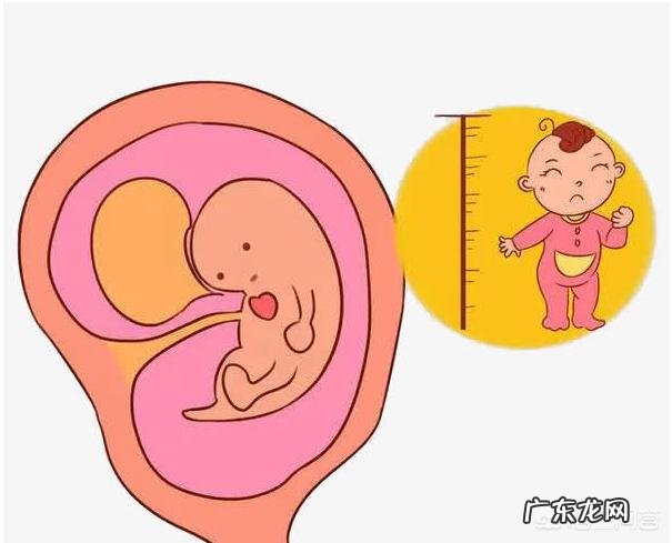 孕妇做B超时,医生总说胎儿比实际天数多几天是为什么