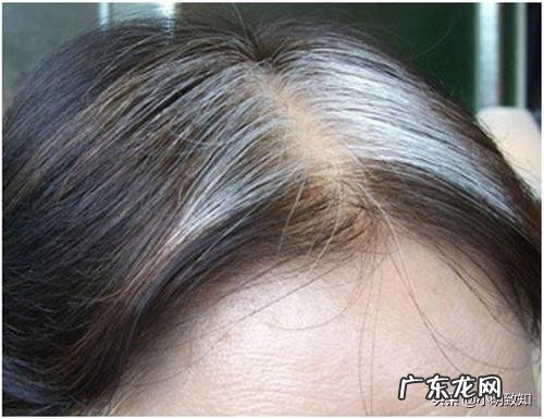 为什么心脏会跳动心脏跳动所需的能量来自哪里