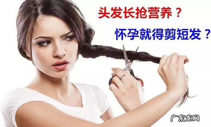 头发留太长会和身体抢营养吗