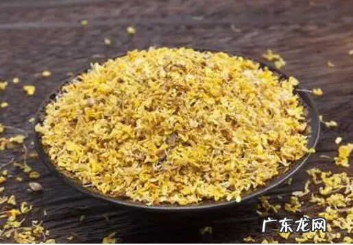 新鲜桂花怎么清洗和保存才是正确的方法