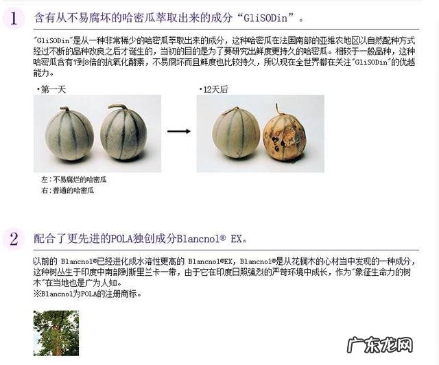 pola美白抗糖丸副作用 吃pola美白丸副作用