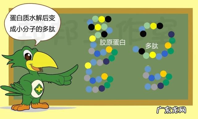 胶原蛋白美白丸的功效 胶原蛋白和美白丸可以一起吃吗