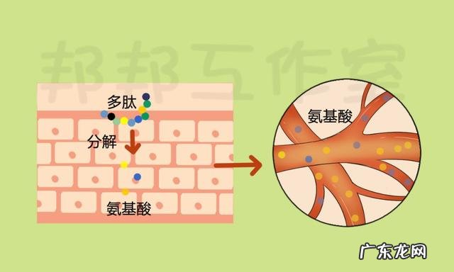 胶原蛋白美白丸的功效 胶原蛋白和美白丸可以一起吃吗