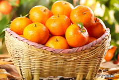 沙糖桔吃多了有哪些危害 沙糖桔的功效与作用