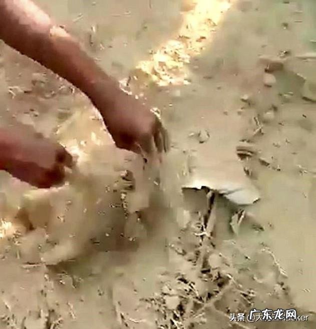 大难不死!印度婴儿被活埋后奇迹生还,你知道是怎么回事吗?