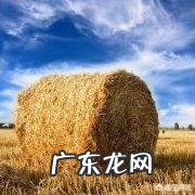 如何教育孩子养成良好的行为习惯,不要不劳而获