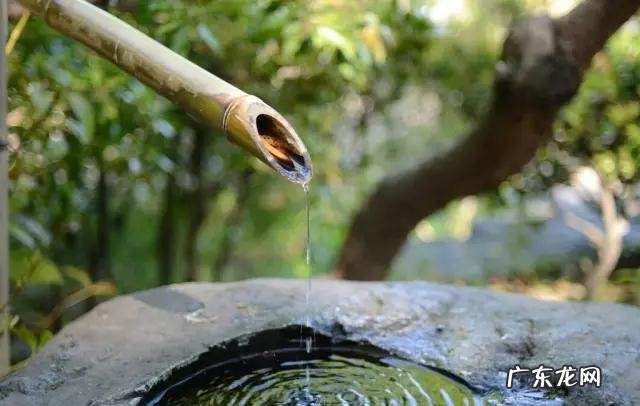 为什么用纯净水泡茶没有颜色、茶香