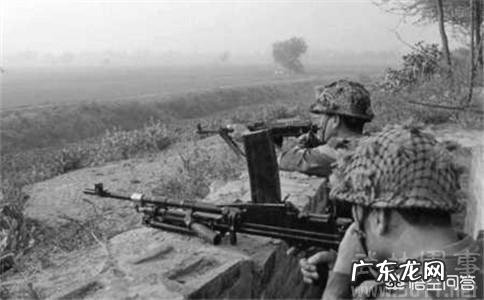 西方国家为什么不研究美食