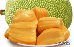 菠萝蜜怎么吃 菠萝蜜的食用方法