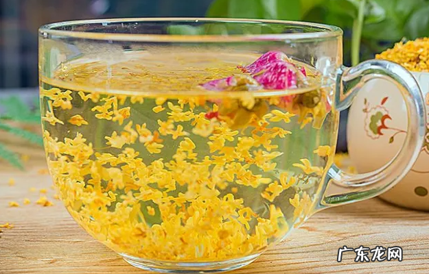 桂花泡水喝的9大禁忌-喝桂花茶的注意事项