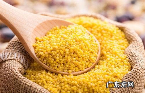 减肥要遵循哪些铁的饮食规律？