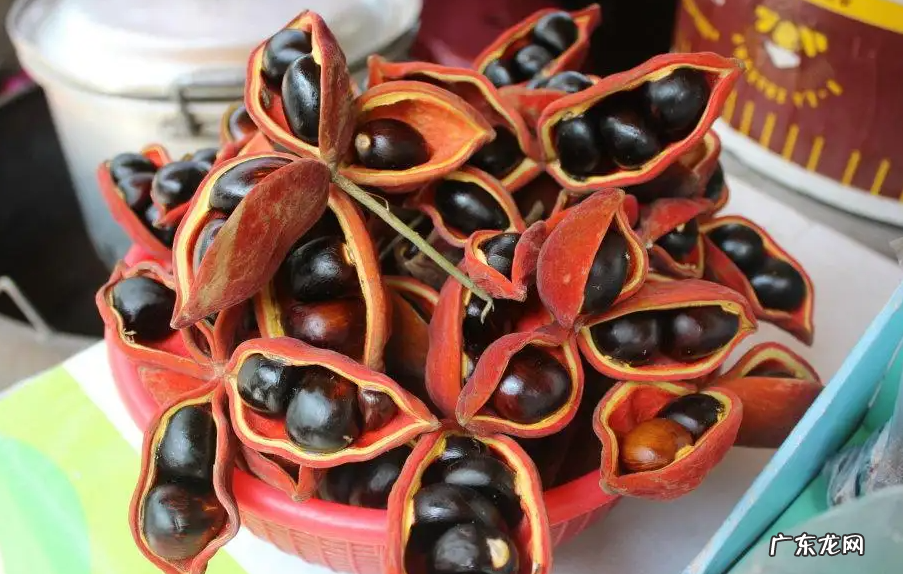 凤眼果的功效与作用 凤眼果的药用价值