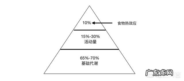 减肥有必要去健身房买私教么?