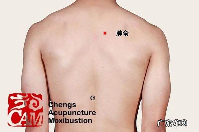 感觉自己坚持不下去了,送我一句话好不好?