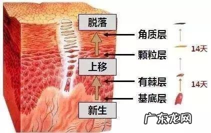 全身美白项目 美白针项目名称
