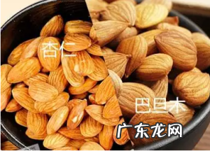 巴旦木和杏仁的区别-如何区分巴旦木和杏仁