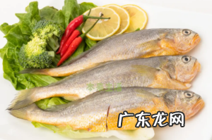 黄花鱼的功效与作用-黄花鱼的营养价值