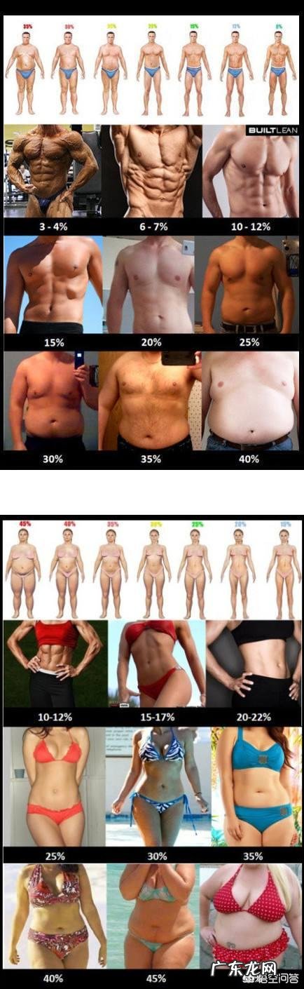 做引体向上真的能练出来腹肌吗？