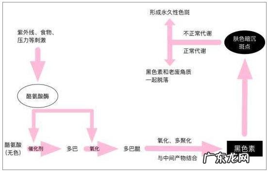 吃哪种美白丸能白 美白丸美白吗