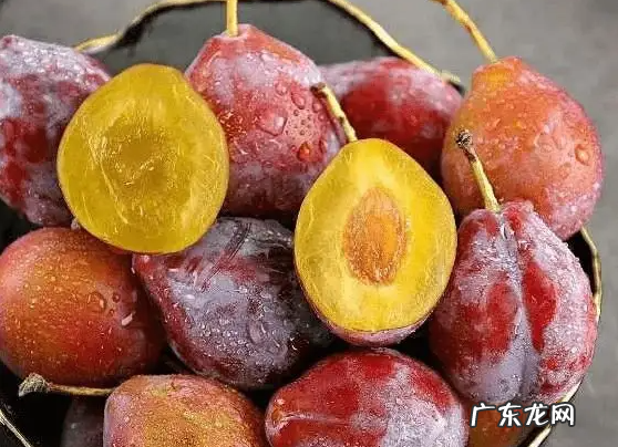 西梅是热性还是凉性 西梅的功效与作用