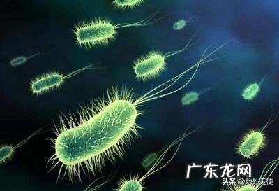 病毒是怎么产生和传播的?