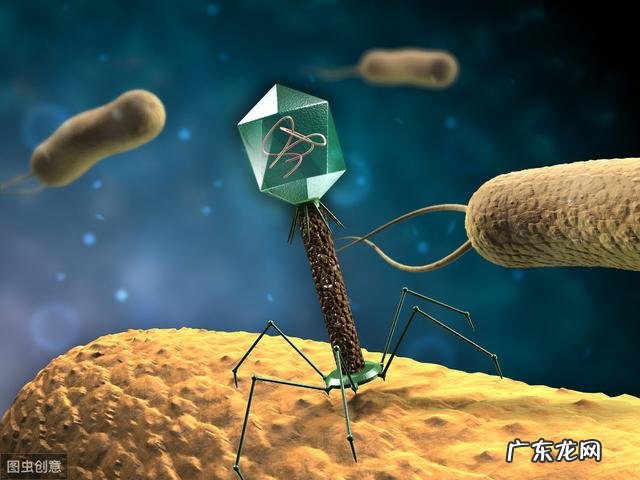 病毒是怎么产生和传播的?