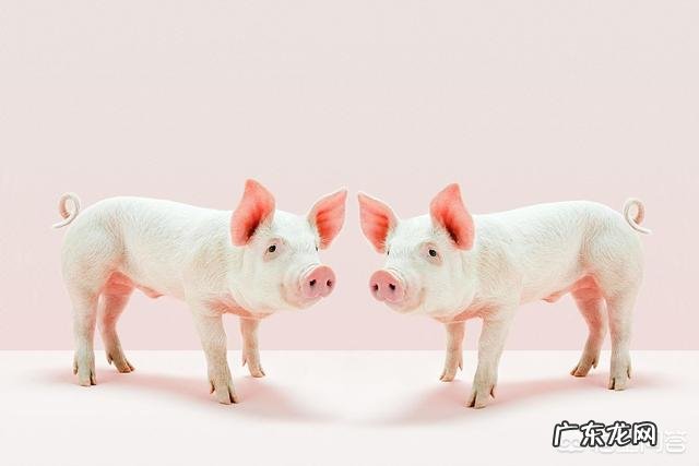 影响产品质量的六大因素是什么?