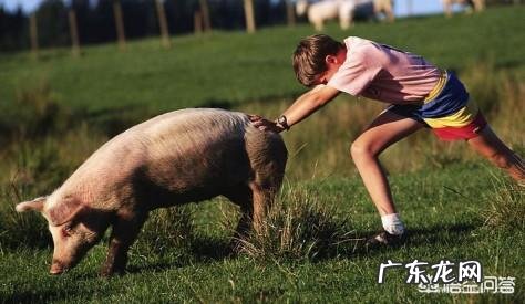 影响产品质量的六大因素是什么?