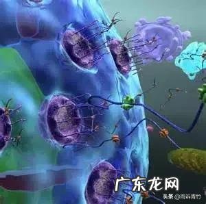 美国西方国家医学先进为什么感觉研制不出可靠的新冠疫苗? 美国是不是研制出了新冠疫苗